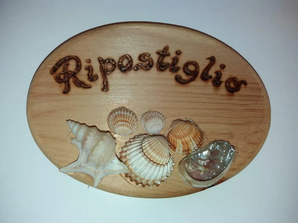 Rosa Del Mare House Apartment Viareggio